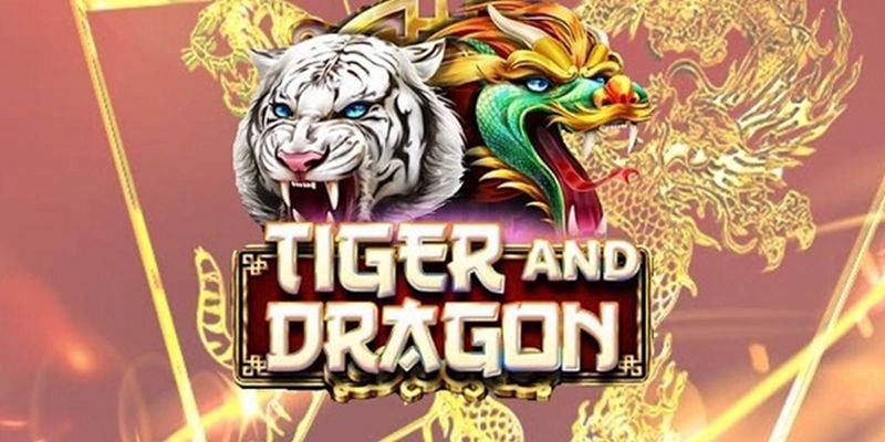 Áp dụng chiến lược thông minh để tối ưu lợi nhuận ở Rồng Hổ